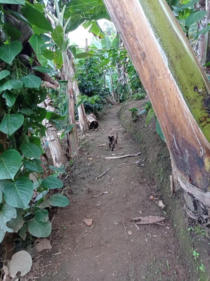 Alojamiento Rural Jardin Consentido 外观 照片
