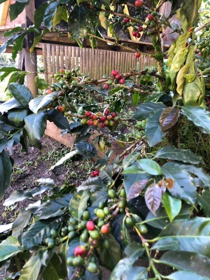Alojamiento Rural Jardin Consentido 外观 照片