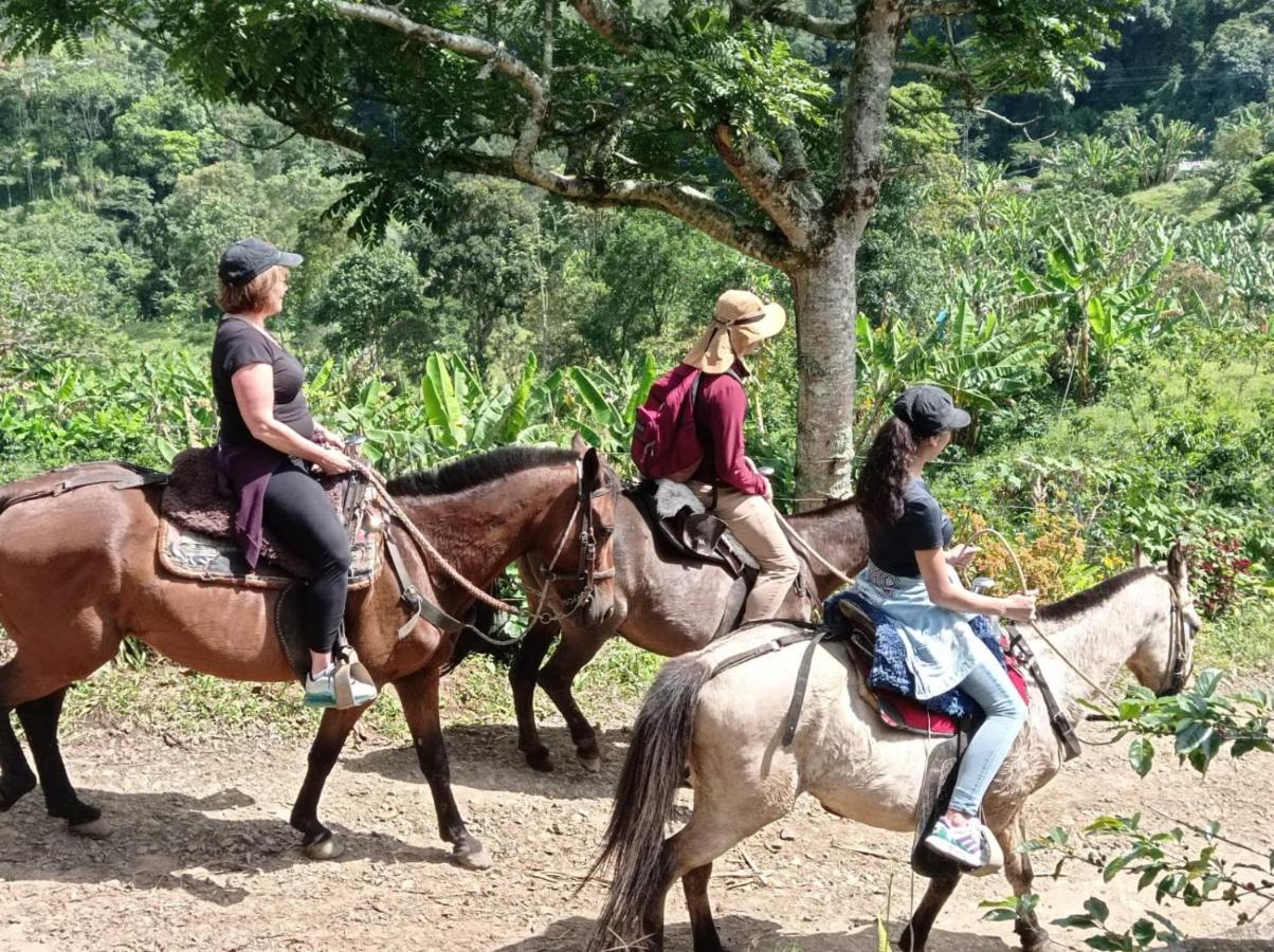 Alojamiento Rural Jardin Consentido 外观 照片