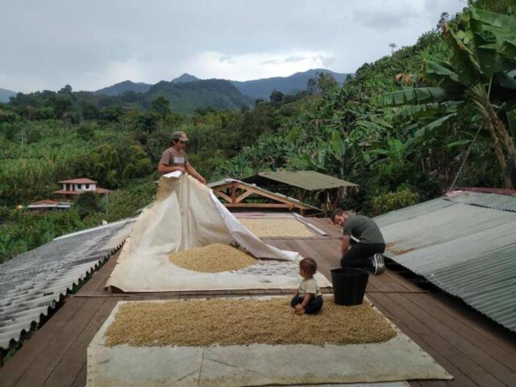 Alojamiento Rural Jardin Consentido 外观 照片