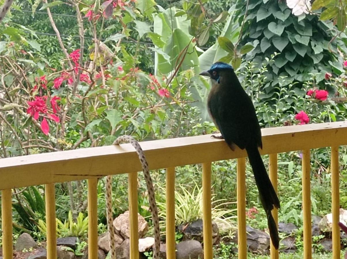 Alojamiento Rural Jardin Consentido 外观 照片