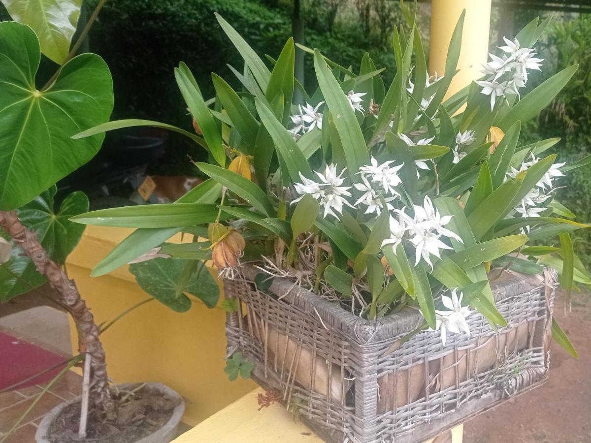 Alojamiento Rural Jardin Consentido 外观 照片