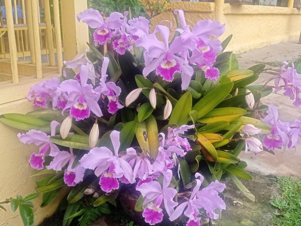 Alojamiento Rural Jardin Consentido 外观 照片