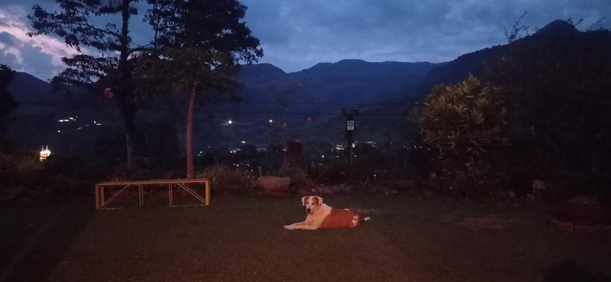 Alojamiento Rural Jardin Consentido 外观 照片