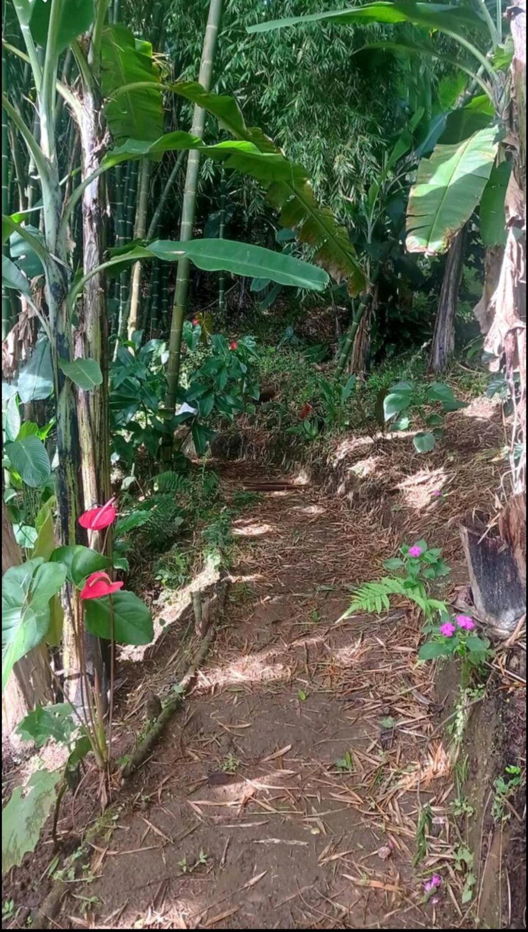 Alojamiento Rural Jardin Consentido 外观 照片