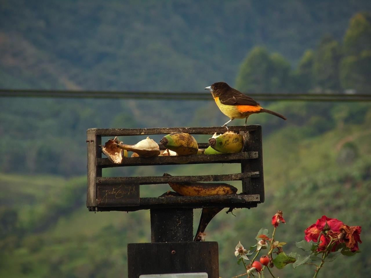 Alojamiento Rural Jardin Consentido 外观 照片