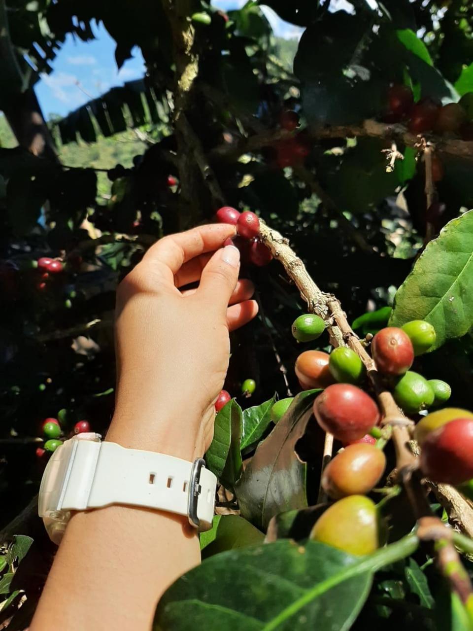 Alojamiento Rural Jardin Consentido 外观 照片