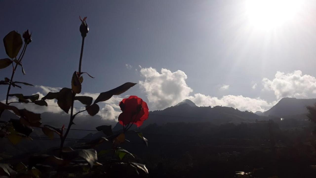 Alojamiento Rural Jardin Consentido 外观 照片
