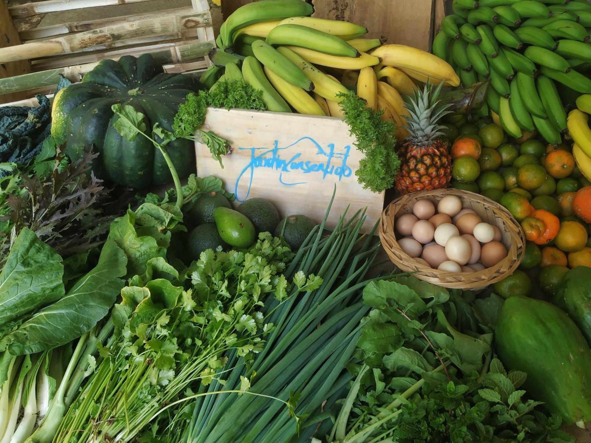 Alojamiento Rural Jardin Consentido 外观 照片