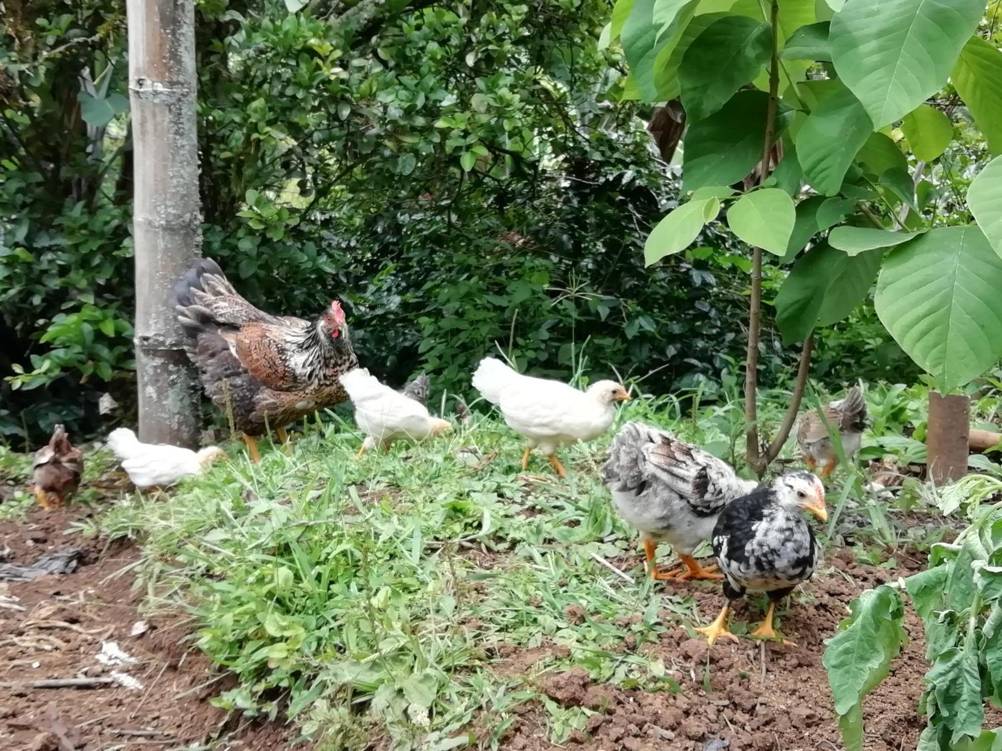 Alojamiento Rural Jardin Consentido 外观 照片