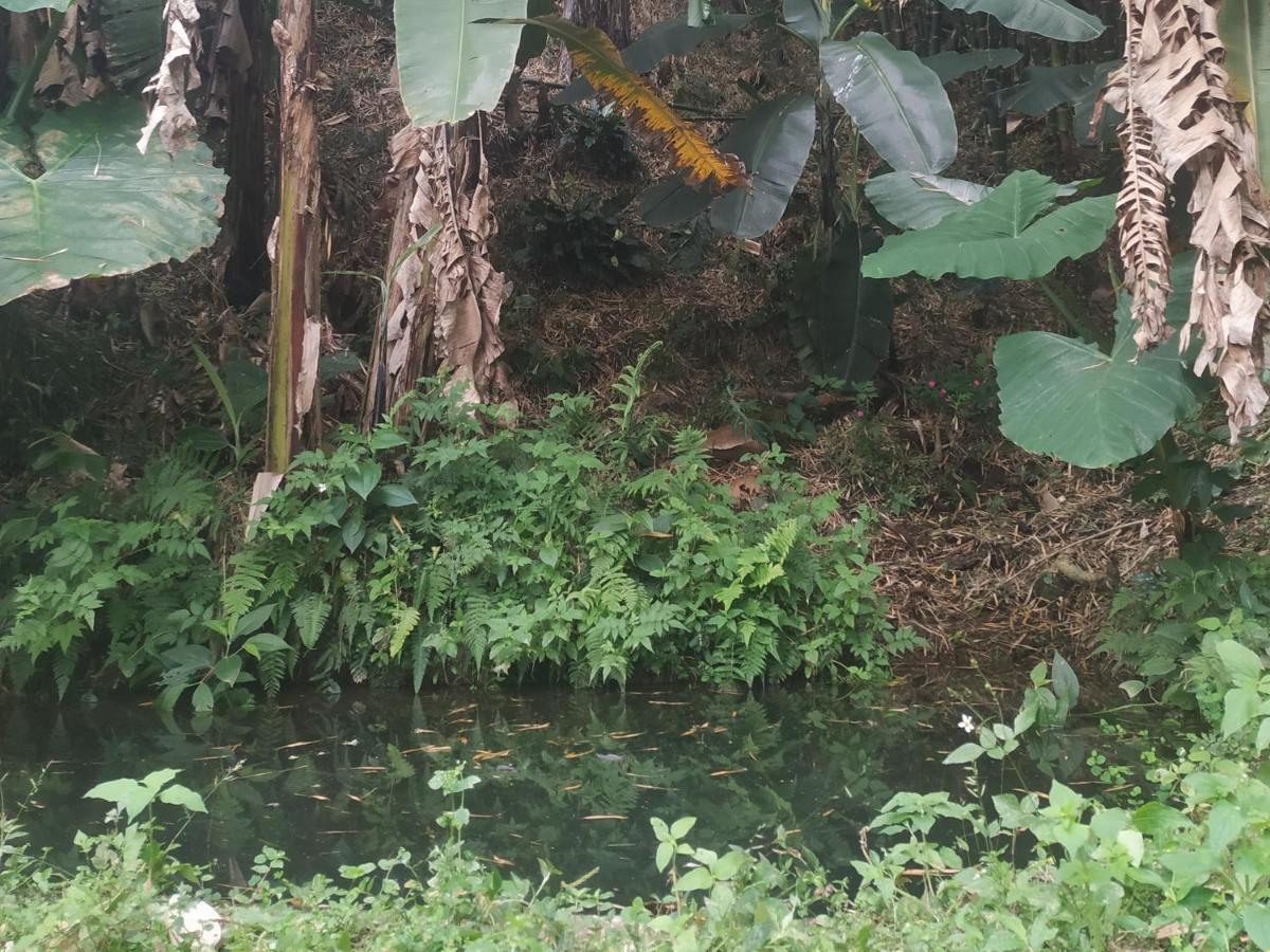 Alojamiento Rural Jardin Consentido 外观 照片
