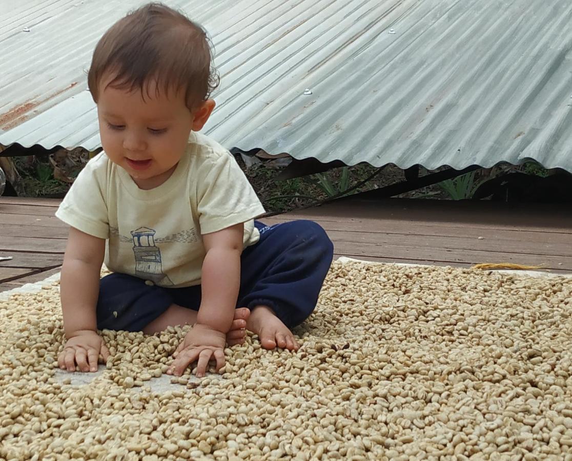 Alojamiento Rural Jardin Consentido 外观 照片